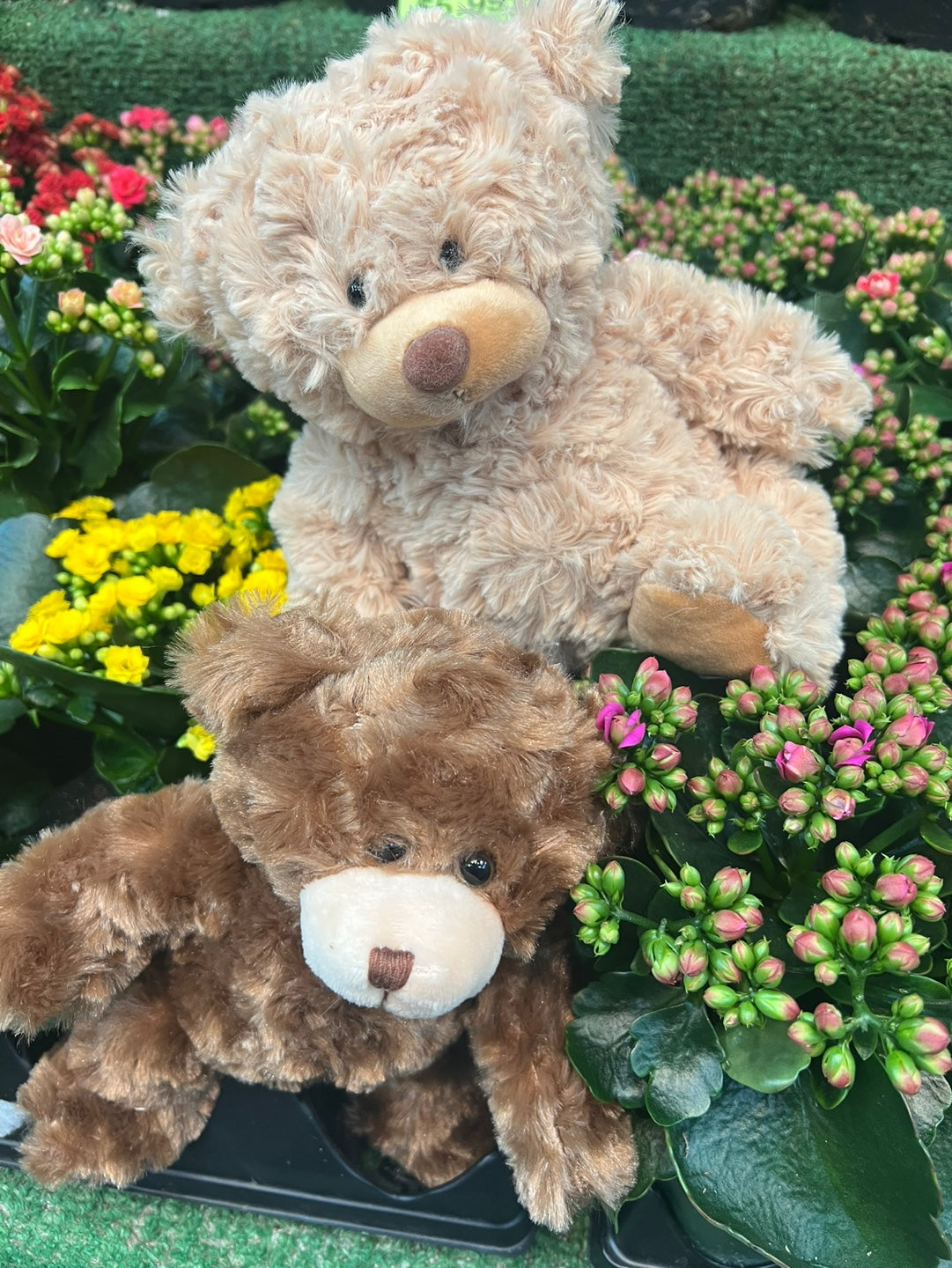 Stuff Bear