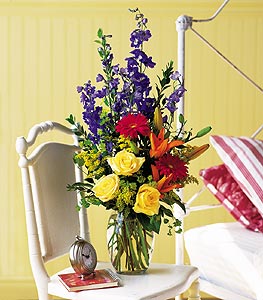 Colorful sensation -MOM