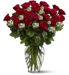 2 Dozen super premium red roses-Val