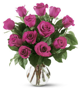 12 Pink roses-Val
