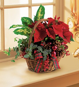 Holiday planter basket