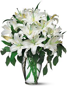 Perfect white lilies