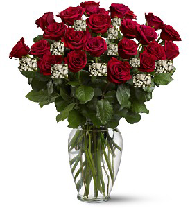 2 Dozen super premium red roses in a vase -MOM