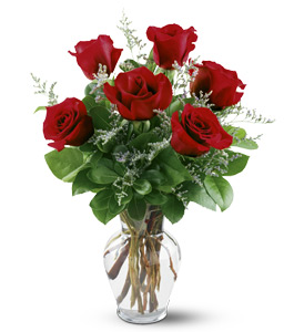 6 Red roses in  a vase -MOM