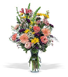 Timeless pastels -MOM
