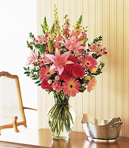 Marvelous pinks -MOM