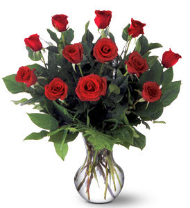 A dozen premium red roses